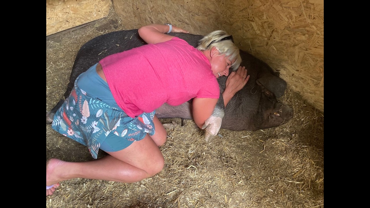 🦌 Nedělní pohádka z Farmy Kapsa - č.12 - 💚Hendikepovaní. Senioři. Sirotci.