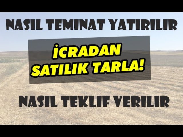 ihaleden araba ev tarla almak teminat nasil yatirilir icradan e satis uyap ile tarla almak youtube