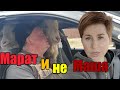 Переезд в ДЕРЕВНЮ》Куча коз на заднем сидении легковушки》Супер место для жизни❗️