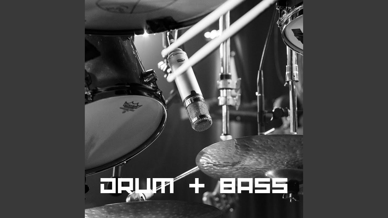 Ver Echoes in the Canopy no YouTube Ver Echoes in the Canopy no YouTube