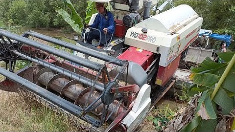 máy cắt WC102 cập bến cắt mở Đồng hè thu tập124 #maibangtv