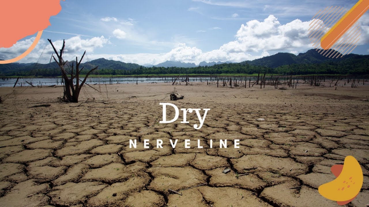 Nerveline - Dry (Official Audio)