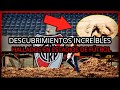 TOP 7: Los DESCUBRIMIENTOS MÁS INCREÍBLES E INSÓLITOS Hallados en ESTADIOS de FÚTBOL