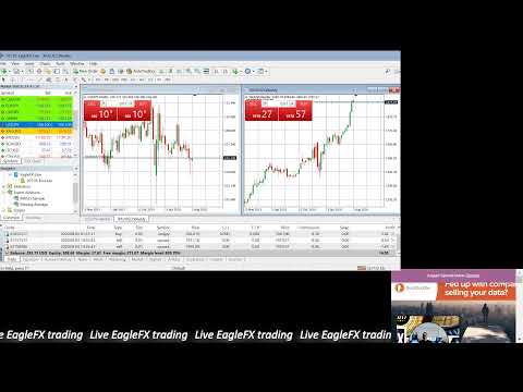 Forex brokers with 500 leverage