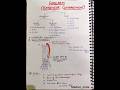 Extensor Compartment of Forearm (notes)📚🩺 #neetpg #mbbs #anatomy #notes