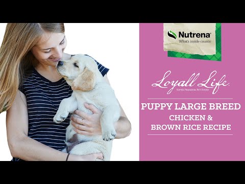 nutrena puppy large breed