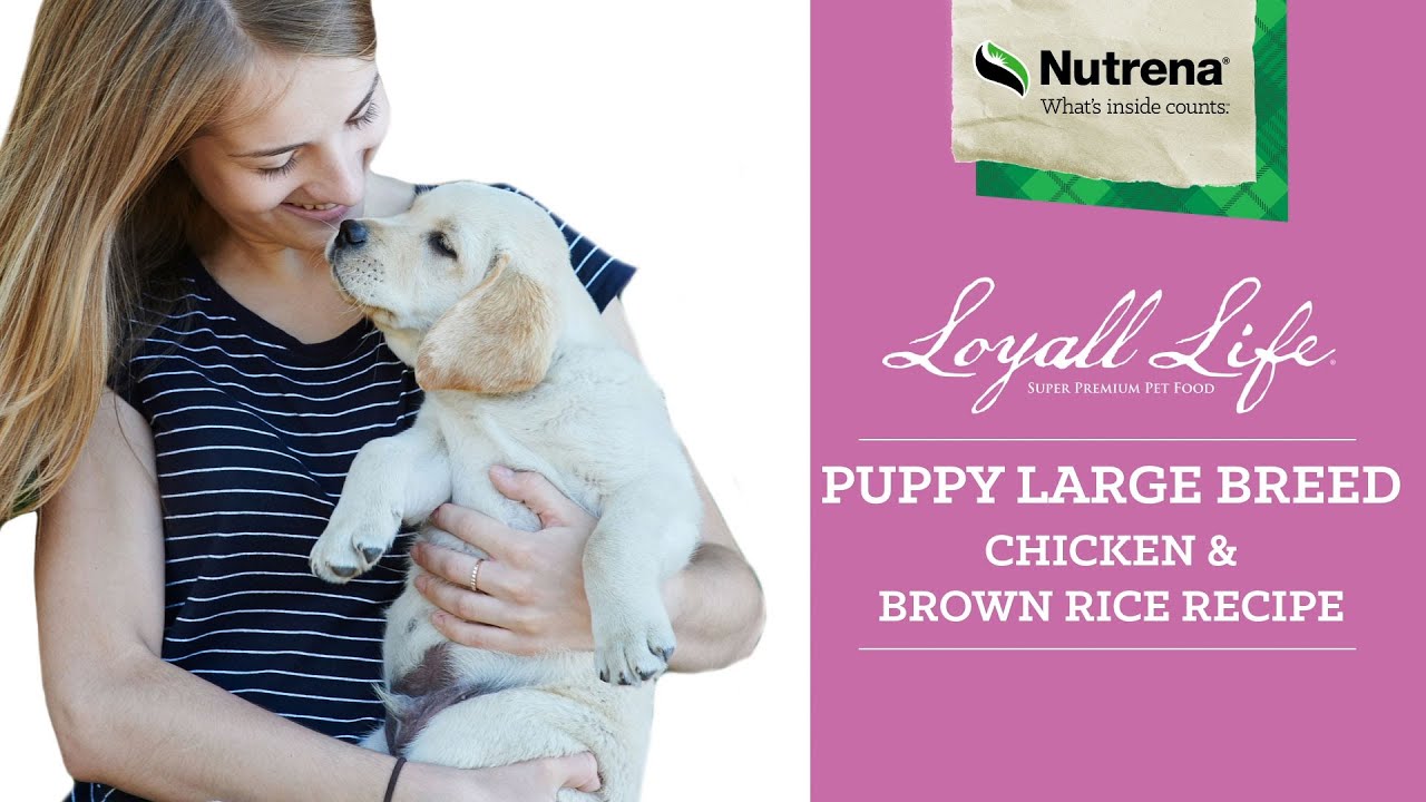 nutrena puppy large breed