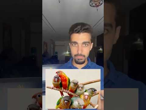 موعد موسم انتاج الكنيور