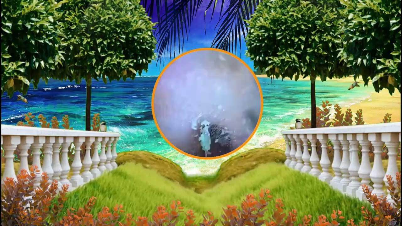 Satisfying Ear Wax Removal With Dr Zhao Video 171 YouTube