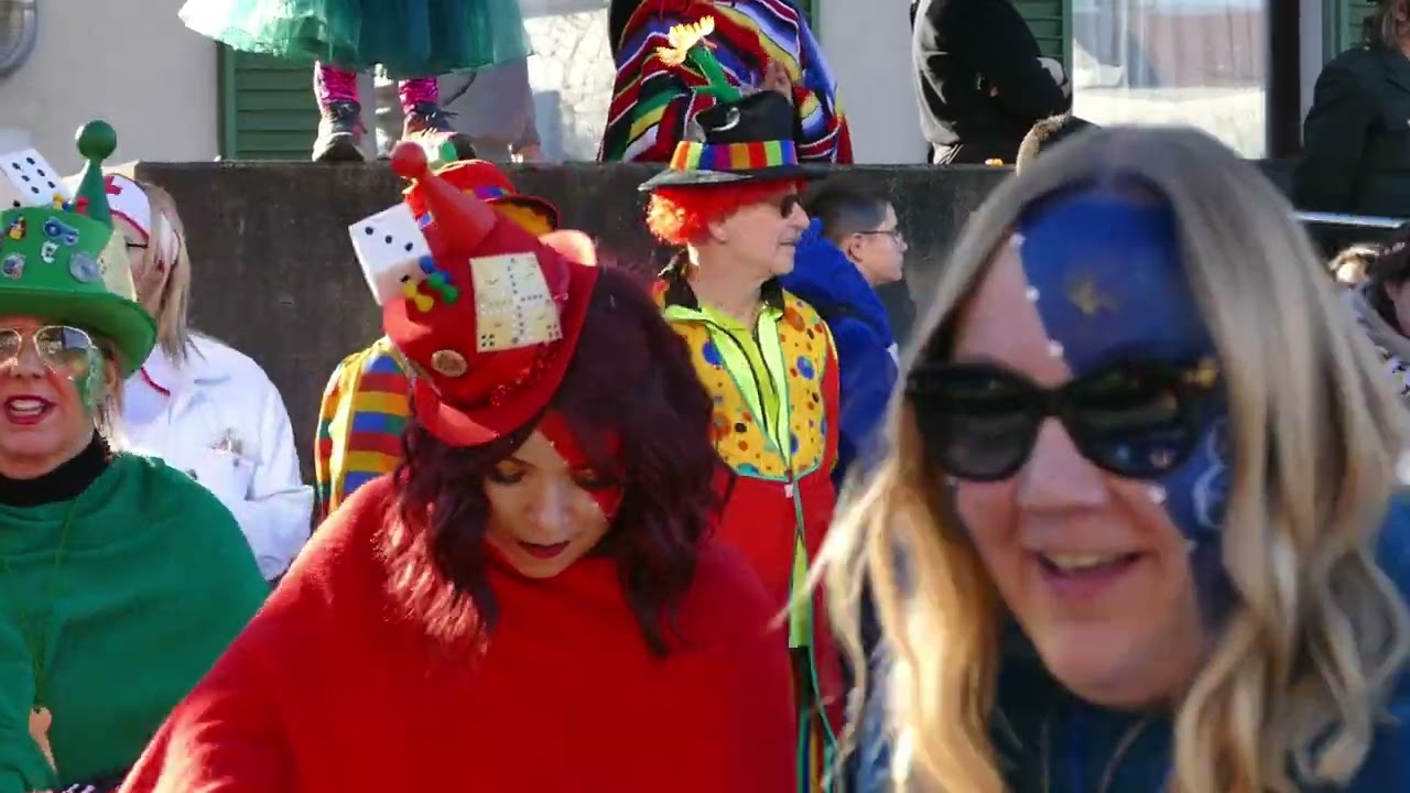 Faschingsumzug Hard 2024