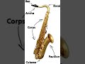 Sax Anatomia #saxophone #trumpet #music #clarinet
