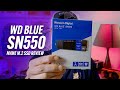 WD Blue SN550 NVMe m.2 SSD Review: BEST budget SSD!