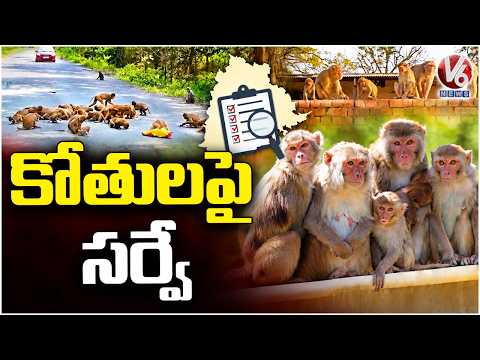 Telangana Launches Statewide Monkey Menace Survey Through e-Panchayat Portal | V6 News - V6NEWSTELUGU