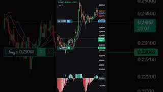 HBAR coin Hedera USD big move #crypto #bitcoin
