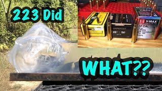 What Happens When a Bullet Strikes a Soft Target-223 Varmint Projectile Comparison in Ballistics Gel screenshot 5