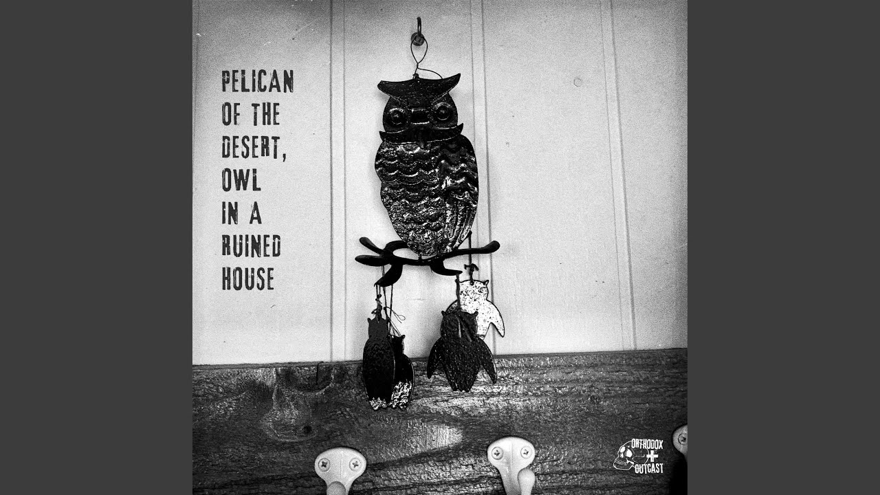 Pelican Of The Wilderness, Owl In A Ruined House