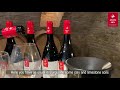 Winemakers tour step 8  grain de sail wines  arnaud bou vlog