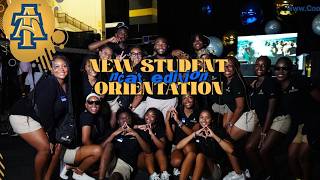 *MINI* DAYS IN MY LIFE: ORIENTATION LEADER EDITION |