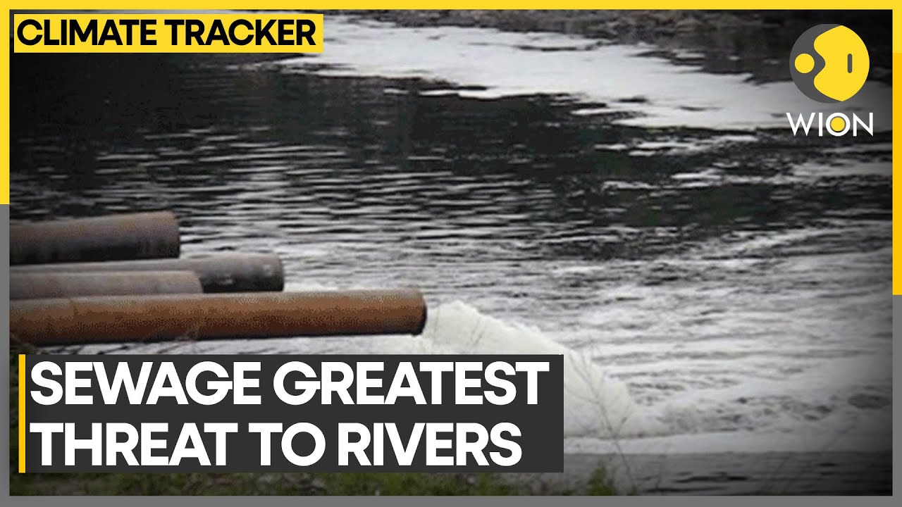 Treated & untreated sewage greatest threat to river biodiversity | WION Climate Tracker