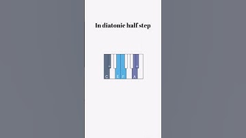 Chromatic and Diatonic half steps