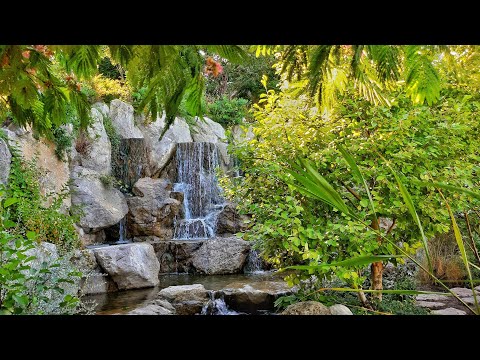 Отдых в Крыму. Отель Mriya Resort & SPA 5* территория, цены, услуги. День Мечты, часть1 Японский сад