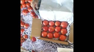 Import Red Gold - Pomegranate from India,