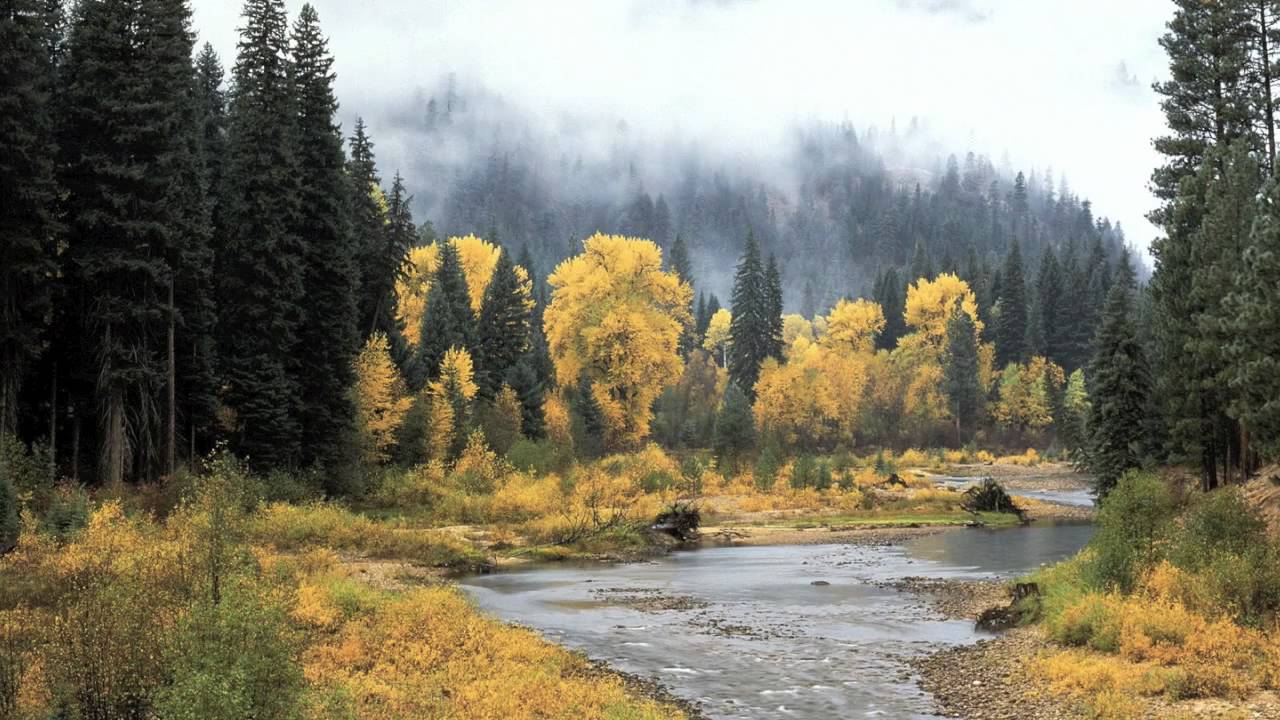 Chris Brown - Yeah 3x Cover