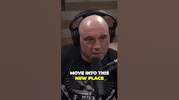 Unleashing Your Potential Embracing Growth and Embracing Change