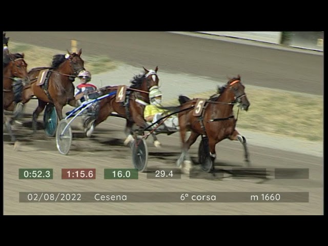 2022 08 02 | Corsa 6 | Metri 1660 | Premio Parco Della Salina Di Cervia