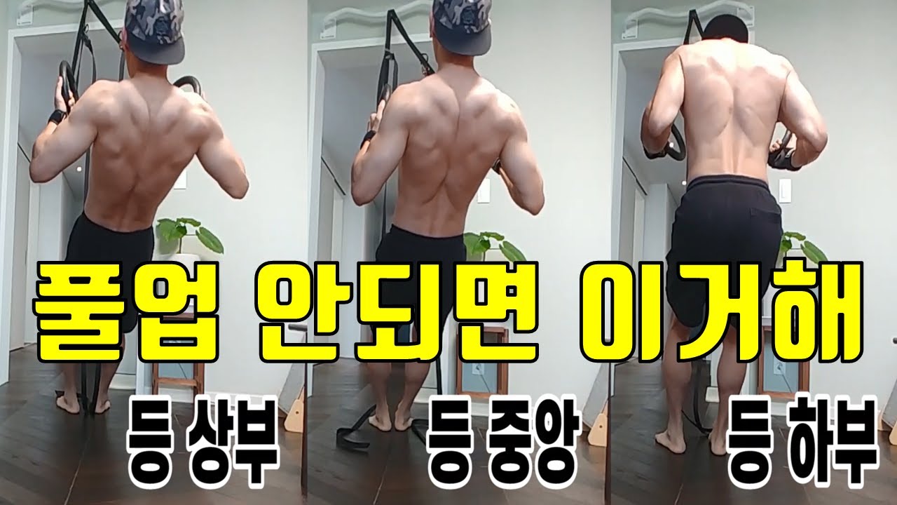 짐링 등운동 상부/하부 타게팅 방법. 홈트하는 헬린이에게 인버티드로우가 풀업보다 좋은 이유.