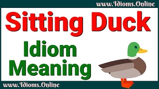 Sitting Duck Idiom Meaning