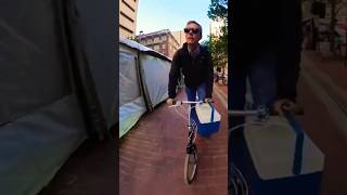 Art Festival Opening Day