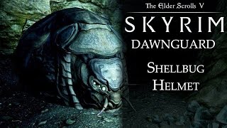 Skyrim DLC: Dawnguard - Shellbug Helmet and Bone Hawk Amulet