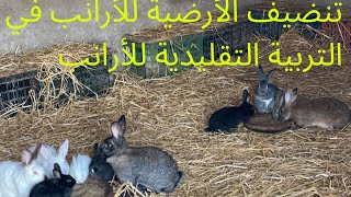 تنظيف ? أرضية الأرانب في طريقة التربية التقليدية للأرانب?