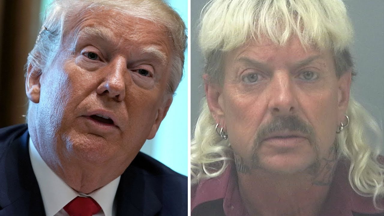 Will Donald Trump Joe Exotic etwa aus dem Knast holen? Fox News YouTube