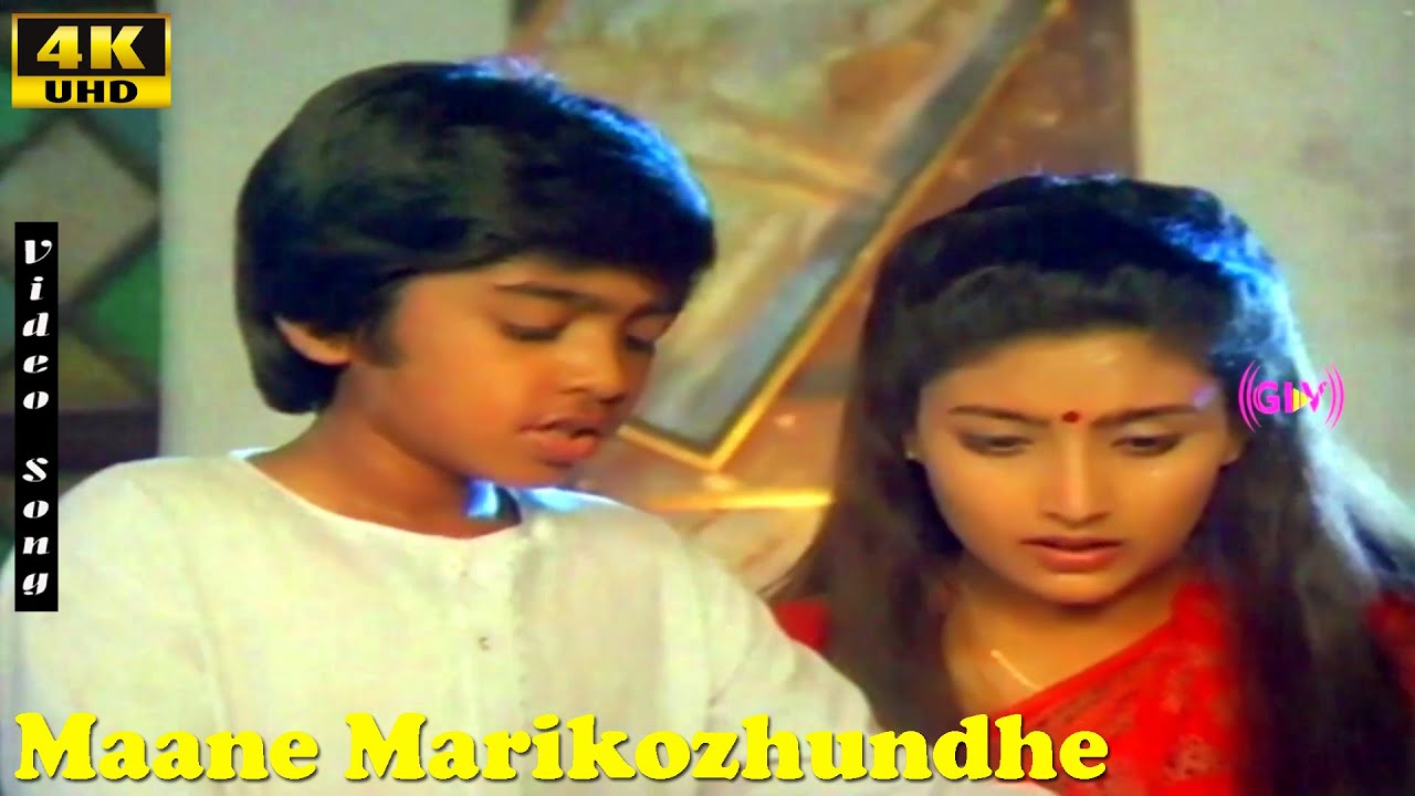 Maane Marikozhundhe Song | Silambarasan | Heera Rajagopal | T.R | K.J.Yesudas | Sabash Babu Songs