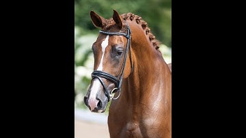 Up to date 2020, for sale    HD 720p