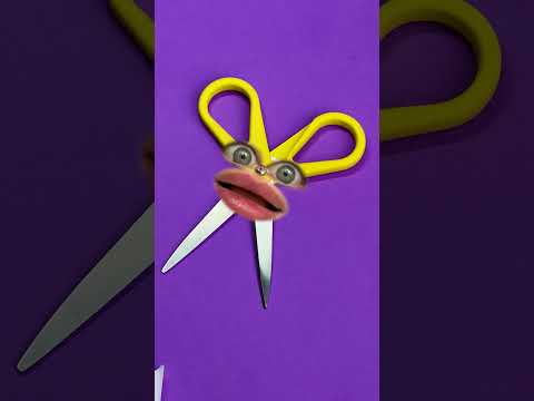 عندما تصبح المقصات حساسة أكثر من اللازم