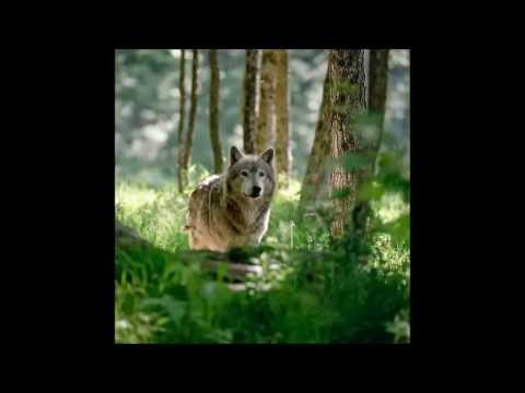 Artful Dodger ft. Michelle E - Think About Me