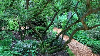 Magical Woodland Gardens