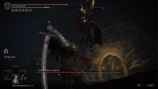 How to dodge Malenia's Waterfowl Dance (Elden Ring)