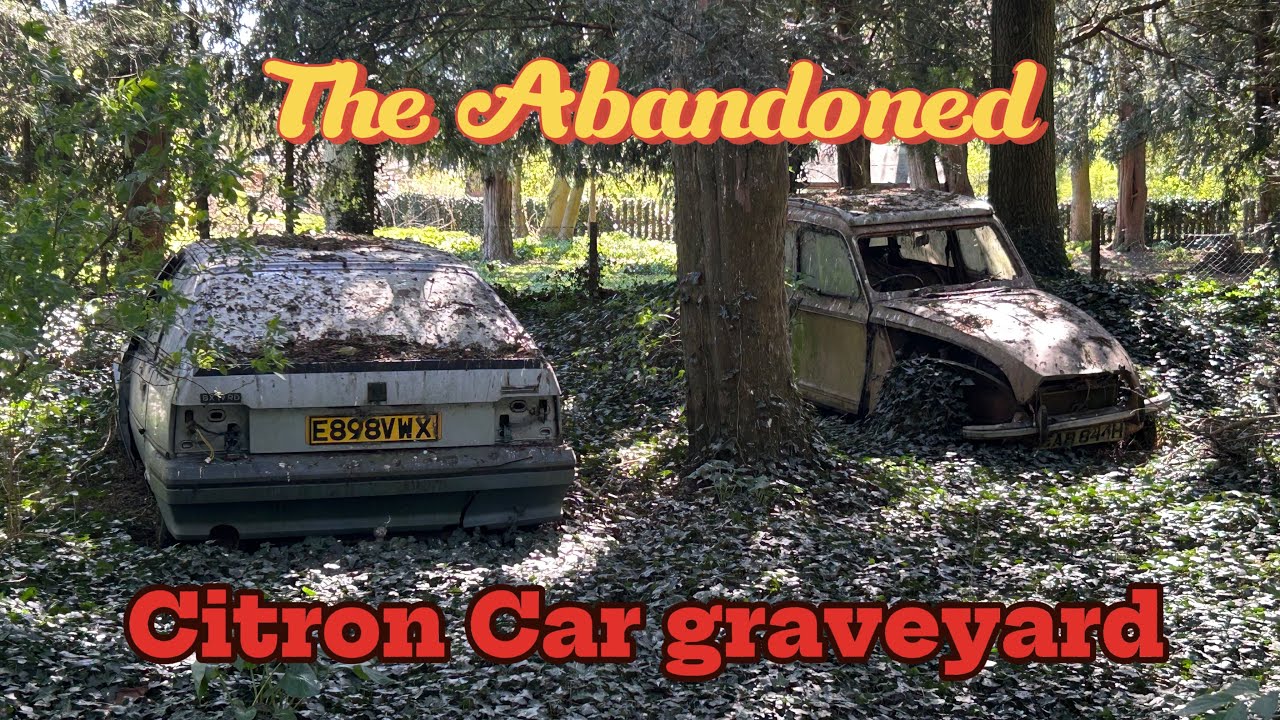 I Explore A Small Car Graveyard Full Of Citroens - abandoned places ...