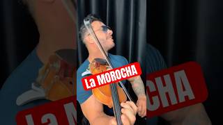 La Morocha - Violin solo #violinista #violincover #music #violinmusic #cumbia #konga