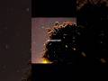 Jaise banjaare ko ghar❣️|| Asthetic Status #shorts#lyricsstatus#aestheticstatus