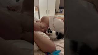 Precious Kitten’s Playtime with Her Human Dad