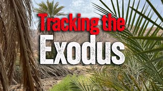 No Land for Soft Men - Exploring a Sinai Desert Oasis. screenshot 3