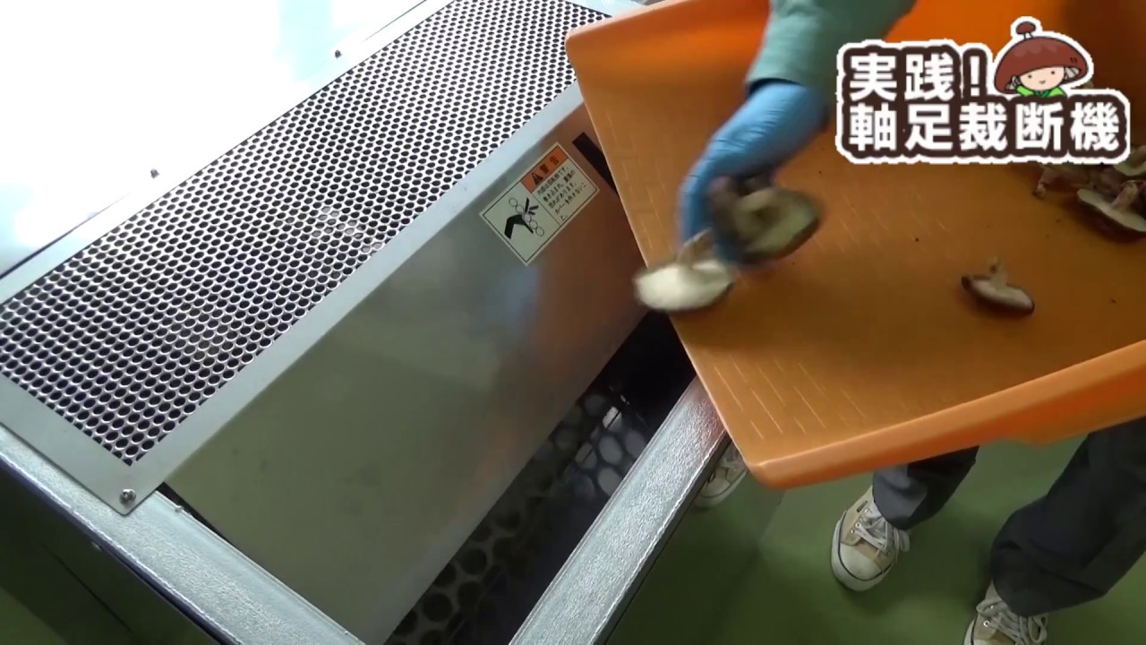 タカハシ式高速裁断機 サニタリー1号 200型 ｜食品機械ネット - YouTube