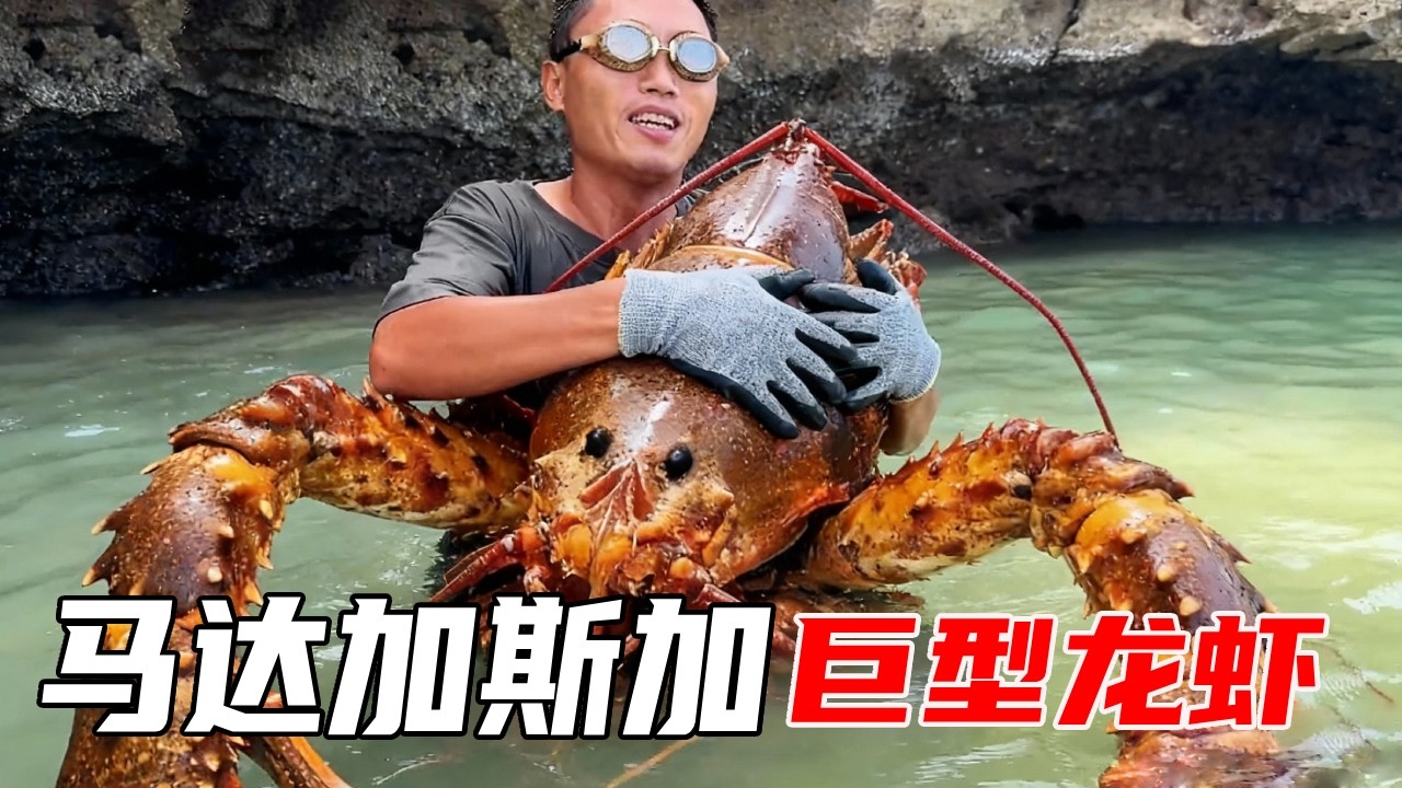 非洲（马达加斯加）荒岛生存（上）：平头哥利用木头DIY鱼叉，前往更深海域收获颇丰，美女队友赞不绝口【户外平头哥】