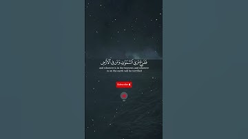 سورة النمل ٨٦ - ياسر الدوسري #نصائح #احاديث #اسلام #لايك #اسلامي #قرآن #اكسبلور  #ياسر_الدوسري