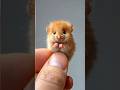 &quot;Incredible AI Talent Show! 🎭 #AI&quot; Cute hamster